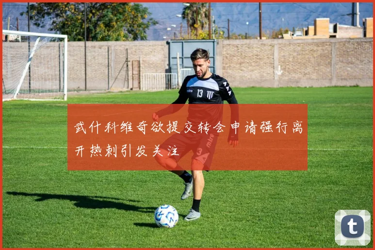 武什科维奇欲提交转会申请强行离开热刺引发关注