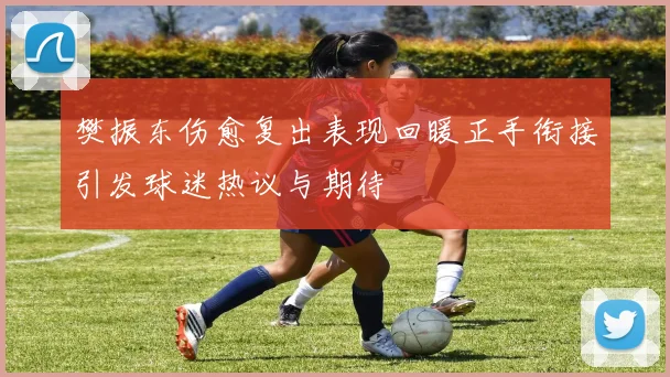樊振东伤愈复出表现回暖正手衔接引发球迷热议与期待